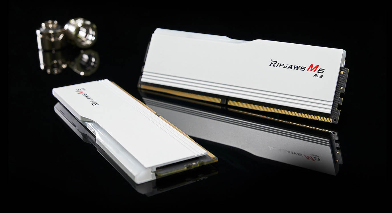 G.SKILL Ripjaws M5 RGB Series 64GB (2 x 32GB) 288-Pin PC RAM DDR5